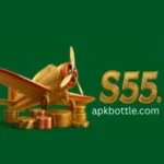 S55 Game