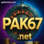 Pak67 Game